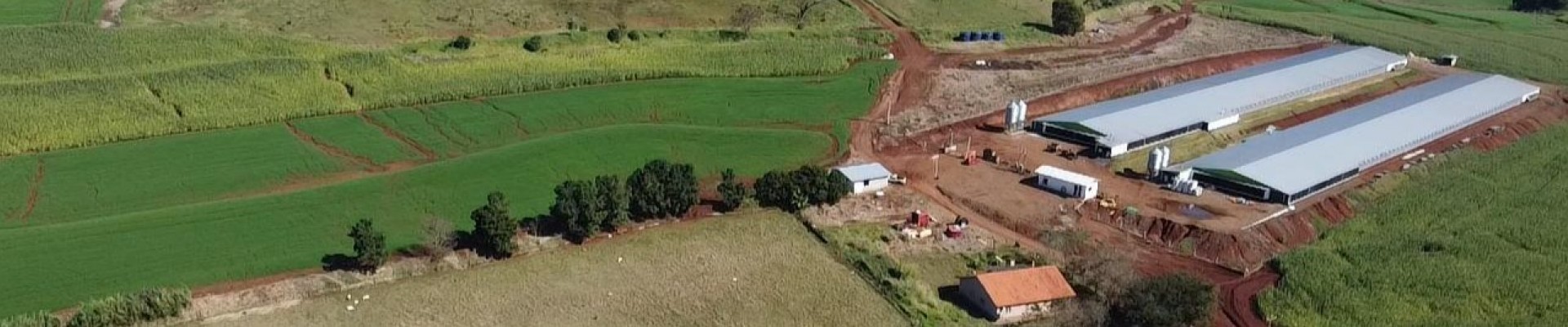 Área de 82 alqueires em Matelândia