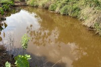 Área de 3.8 alqueires