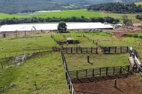 Área de 82 alqueires em Matelândia