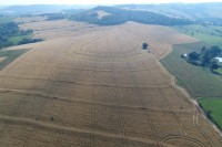 Área de 8.5 alqueires em Matelândia