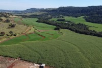 Área de 82 alqueires em Matelândia