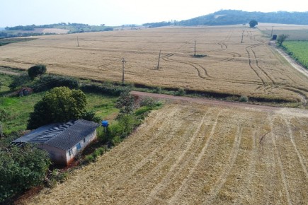 Área de 8.5 alqueires em Matelândia